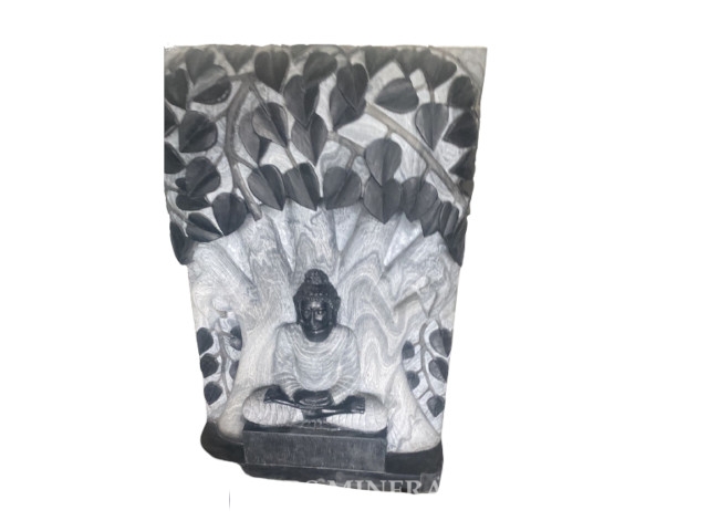 Mars Minerals in Australia